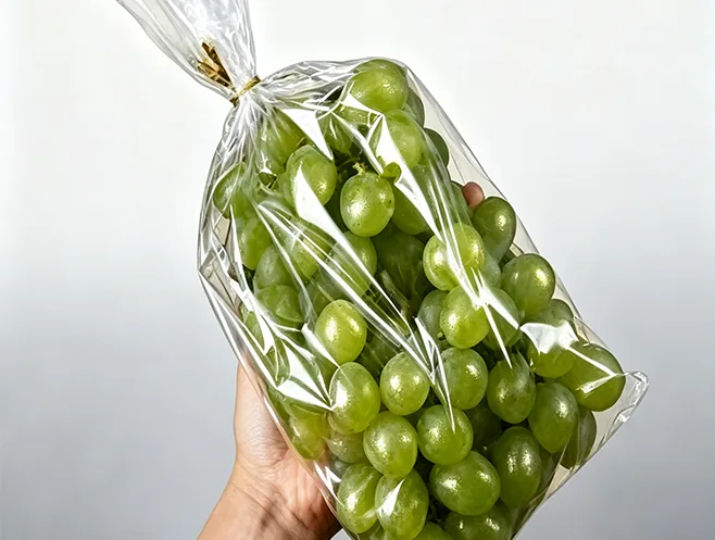 Le film anti-buée Bopp permet d'emballer des aliments frais et résout les principaux problèmes de conservation des fruits et légumes.